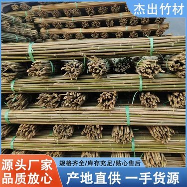 番茄架與勾花網(wǎng) 菜園里的黃金搭檔